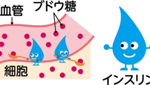 インスリン